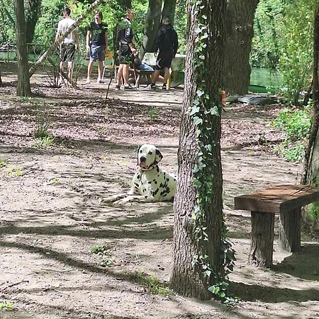 Vikendica Banjska Diva Semesterbostad *