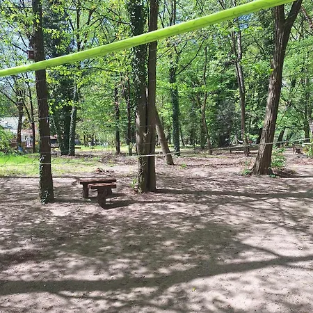 Vikendica Banjska Diva