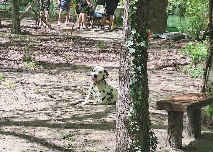 Vikendica Banjska Diva Casa vacanze *